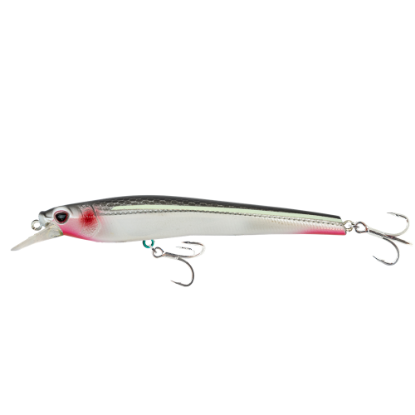 Nomad Shikari - fishing equipment stores - Anglersbay