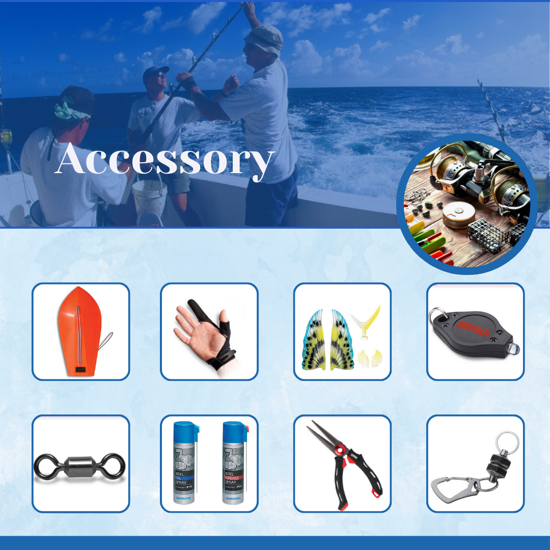 Picture for category Accessory
