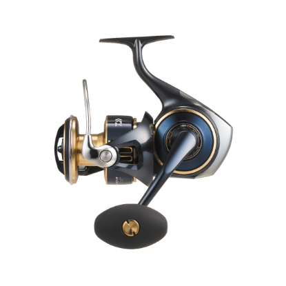 Picture of Daiwa 25 Saltiga Reel